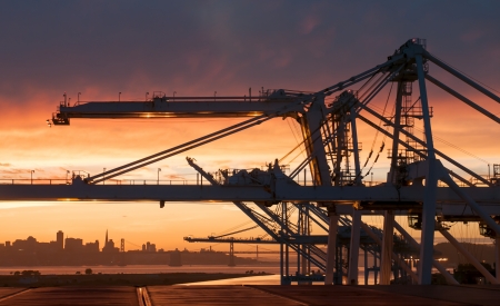 Skyline with container cranes in foregroundの写真素材