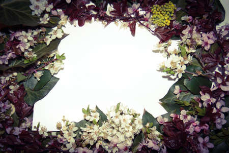 Creative floral look made of natural decoration, With paper card note. flat lay, concept of nature.の写真素材