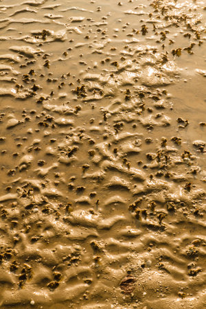 brown sand  on the beach  from Thailand 