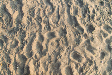 brown sand  on the beach  from Thailand 