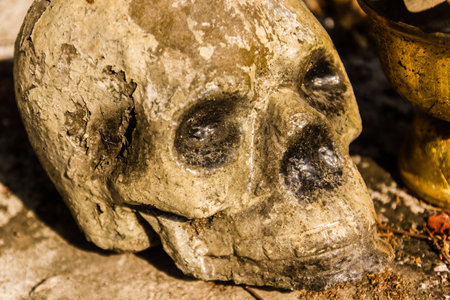 human bone and skull in the temple  in Thailand .の写真素材