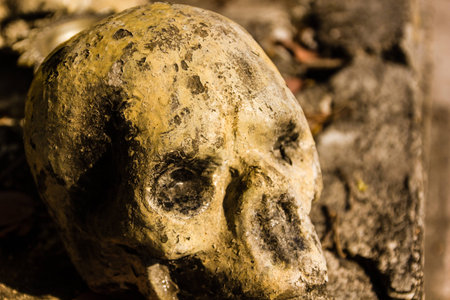 human bone and skull in the temple  in Thailand .