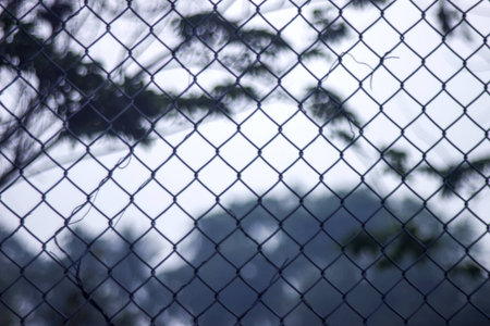 barbed wire on the road by the way . from Thailand.