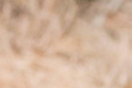 abstract blurred color の写真素材