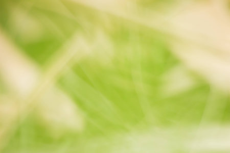 abstract blurred color の写真素材