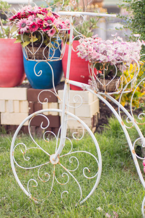 Tropical Flower in chairの写真素材