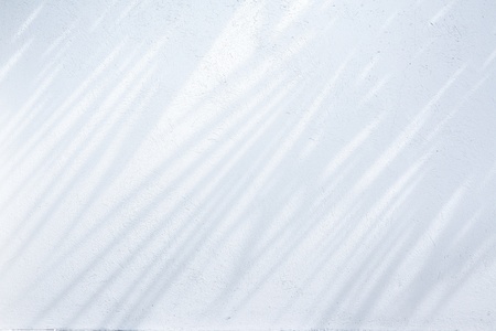 Wall Background, Abstract or Texture, Shadow of the tree の写真素材