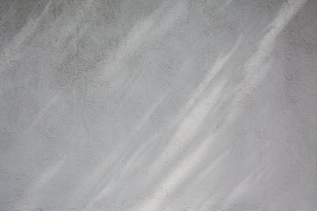 Wall Background, Abstract or Texture, Shadow of the tree 