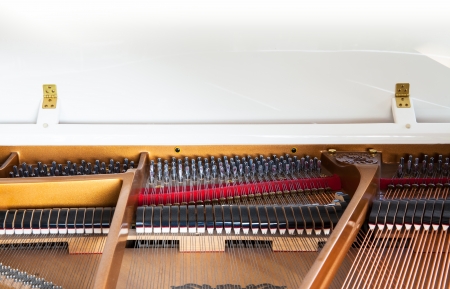 Closeup of white grand piano showing the strings, pegs and sound board  Detailed of grand piano inside, parallel stringsの写真素材