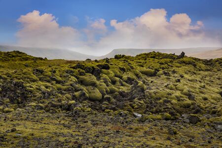 Moss, Mossy Lava Rocks at Katla Geopark, Iceland. - Iceland is a Nordic island countryの写真素材