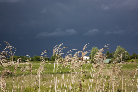 Landscape Italian countryside during the arrival of a strong storm, with very dark sky and high contrast with the surrounding nature.の写真素材