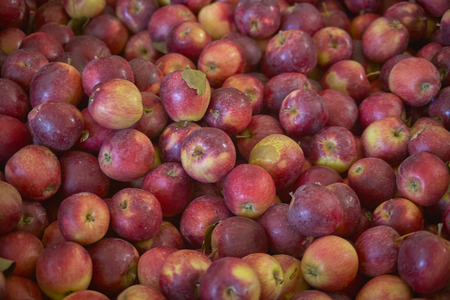 textures of many red apples.の写真素材