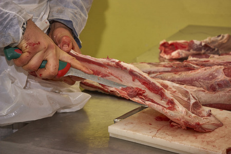 butcher who using a knife is slicing the meat in order to be sold and later eaten in his butcher's shop.の写真素材