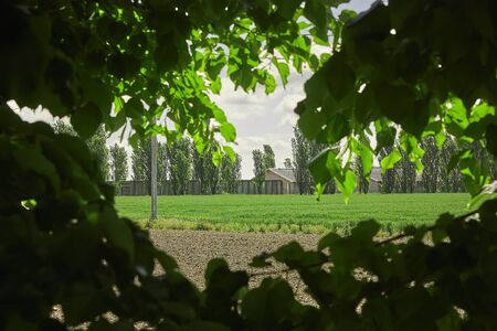 typical countryside of Italian countryside in a frame of leaves of the limes in the scene.の写真素材