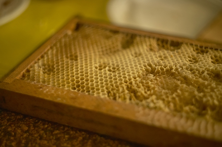 Beehive specially made for beekeeping for the production of genuine honey.の写真素材