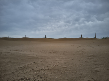 Sand dunes that draw a border on the horizon at a beach.の写真素材