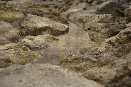 Some rocks reflected on the water of the seashore during the day.の写真素材