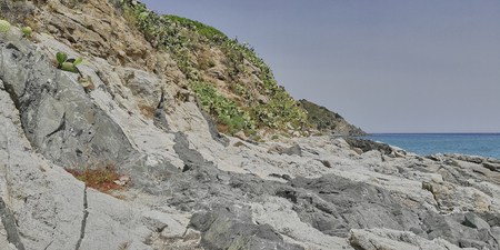 View of rocks overlooking the sea covered with cacti that grow spontaneously in the middle of the cracks.の写真素材