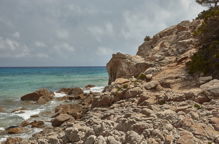 Cliff overlooking the sea at Monte Turnu In Sardinia with its typical vegetation and the sea that breaks on the rocks.の写真素材
