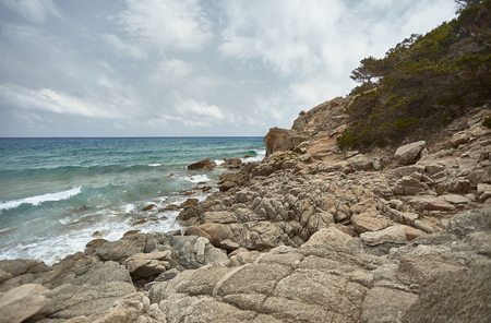Cliff with waves on the sea overgrown with typical Mediterranean vegetation.の写真素材