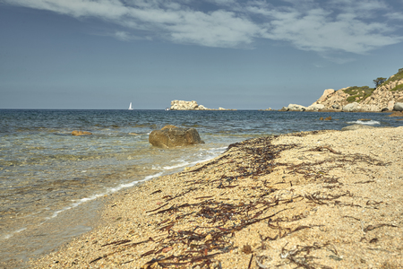 Detail of the shore of a rocky beach typical of southern Sardinia. with many algae deposited on the sand after being transported from the sea.の写真素材