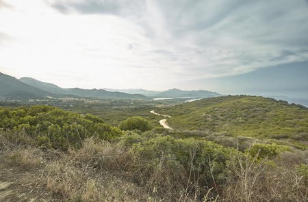 Typical hilly landscape from the south of Sardinia in Italy, with the typical vegetation of this territory.の写真素材