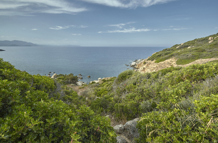 A glimpse of a southern coastline of Sardinia rich in green shrubs overlooking the blue and pristine sea.の写真素材