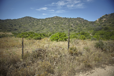 Border of barbed wire in a rural Mediterranean area of southern Sardinia with green hills in the background.の写真素材