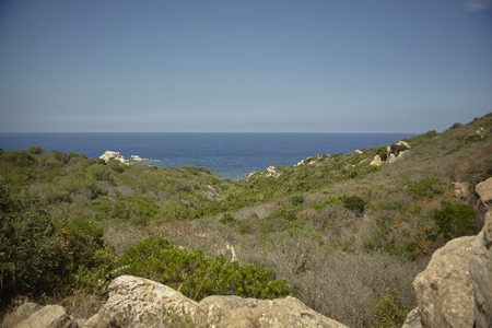 Landscape with rocks, typical Mediterranean vegetation and the background sea to the horizon.の写真素材