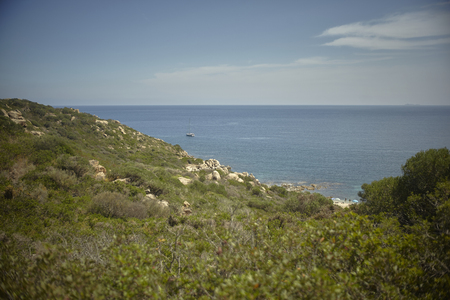 Sailboat sails off the Mediterranean sea filtered by a green promontory with typical vegetation of southern Sardinia.の写真素材