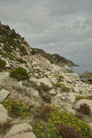 View of a cliff in the southern coast of Sardinia, covered by typical vegetation.の写真素材