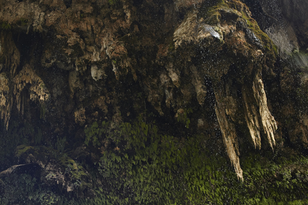 Detail of the rocky wall covered with moss and microvegetation of the natural dripstone of Sa Stiddiosa in the heart of Sardinia.の写真素材