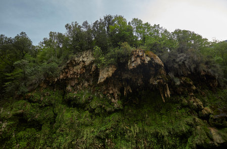 Rock face covered with green vegetation: The wall of the dripping of Sa Stiddiosa.