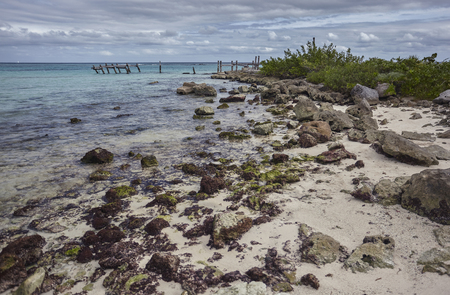 Detail of the Mexican coast of the Mayan Riviera on the beach of Xpu-Ha: a beautiful natural beach overlooking the Caribbean Sea.の写真素材