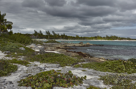 Detail of the Mexican coast of the Mayan Riviera on the beach of Xpu-Ha: a beautiful natural beach overlooking the Caribbean Sea.の写真素材