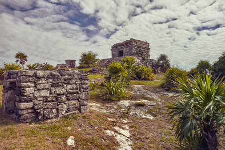 Ruins of Mayan buildings immersed in a green meadow: View of some parts of the Maya complex at Tulum in Mexicoの写真素材