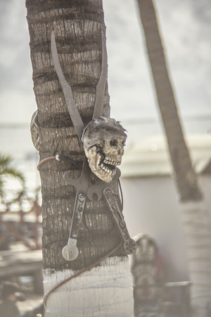 Skull and pair of knives attached to a palm tree: symbol of death and pirates.の写真素材