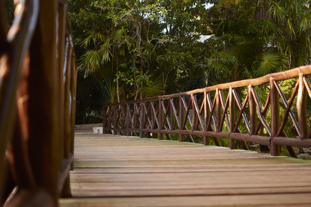 Wooden bridge crossing a cenote in the Mayan Riviera in Mexico.の写真素材