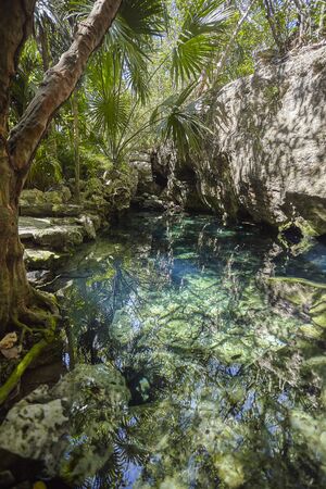 Cenote Azul in Mexico #2のeditorial素材