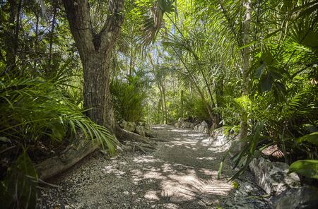 Cenote Azul in Mexico #3のeditorial素材