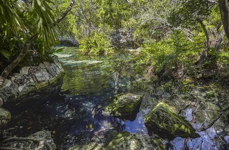 Cenote Azul in Mexico #4のeditorial素材