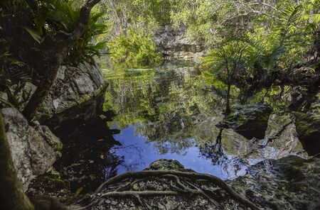 Cenote Azul in Mexico #6のeditorial素材