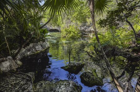 Cenote Azul in Mexico #8のeditorial素材