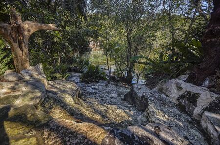 Cenote Azul in Mexico #10のeditorial素材
