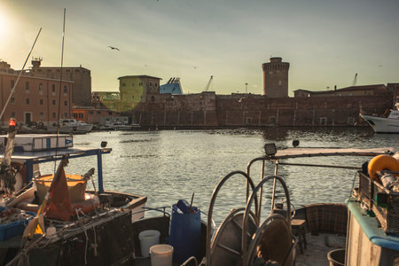 Panoramic view of the port of Livorno with boats moored during sunsetのeditorial素材
