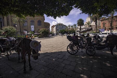 Carriage and horses in Palermo along the public streetsのeditorial素材