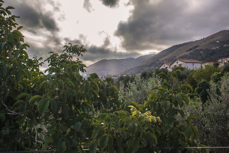 Monreale among the hills: a sicilian landscape