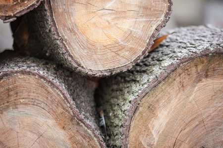 Firewood stacked neatly for storage and sale