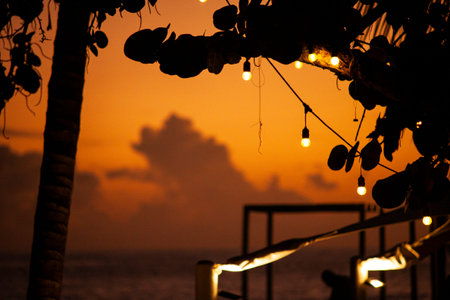Silhouette of Caribbean plants and bulb lights at sunset in Dominicus, Dominican Republicの写真素材