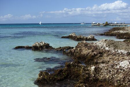 Rocky coast in the caribbean sea in dominican republic in the dominicus areaの写真素材